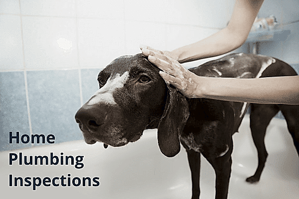 Rental property plumbing inspections